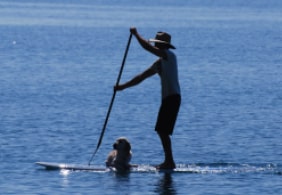 SurfSUP